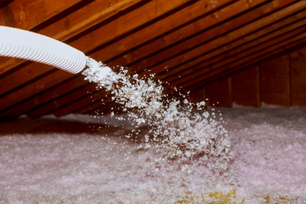 Best Spray Foam Insulation  in Rio Bravo, TX