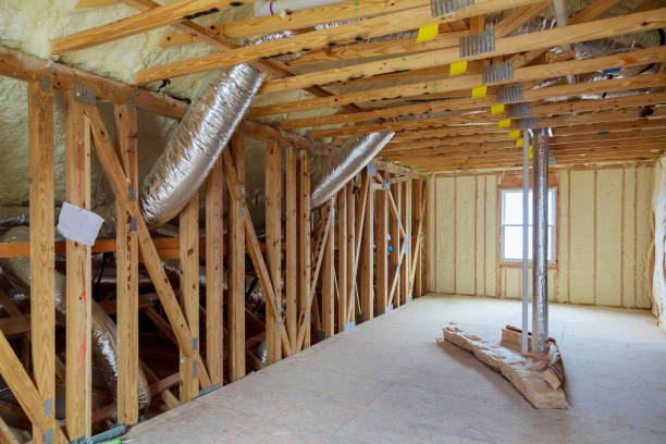 Best Spray Foam Insulation  in Rio Bravo, TX