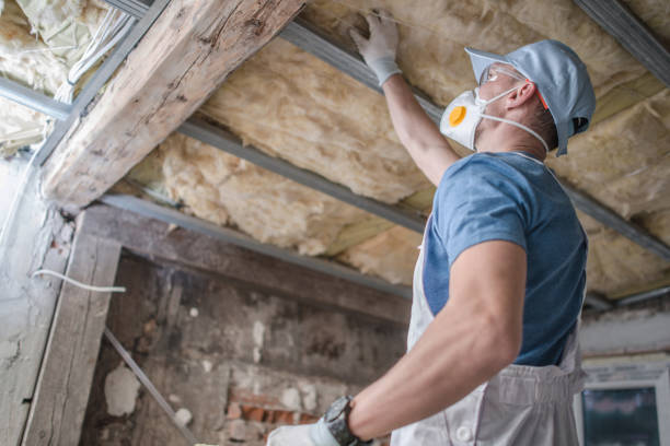 Insulation Inspection Services in Rio Bravo, TX