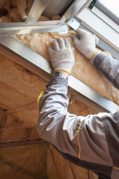 Trusted Rio Bravo, TX Insulation Contractor Experts