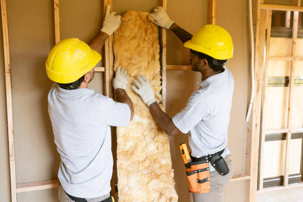 Garage Insulation Installation in Rio Bravo, TX