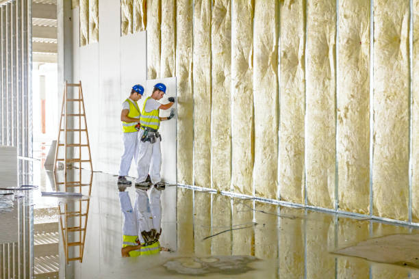 Best Spray Foam Insulation  in Rio Bravo, TX